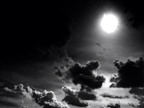 Passing Shots:  Placer County California