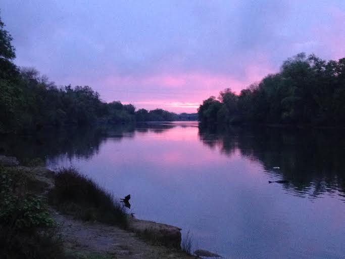 Passing Shots:  Lower American River Watershed
