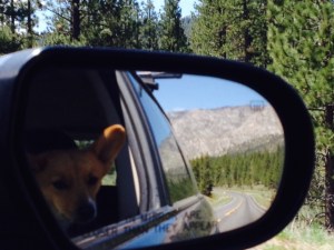 Objects in the Mirror