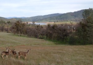 © 2015 TheresaMaeFunk. All rights reserved.