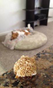 pup and pepper seeds