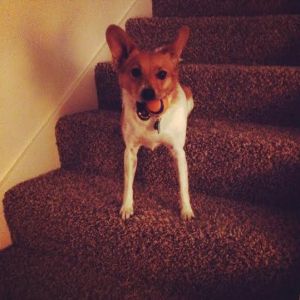 Stella takes a break mid-play and strikes a pose.