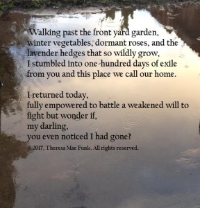 jan-24-2017-blog-100-days-of-exile